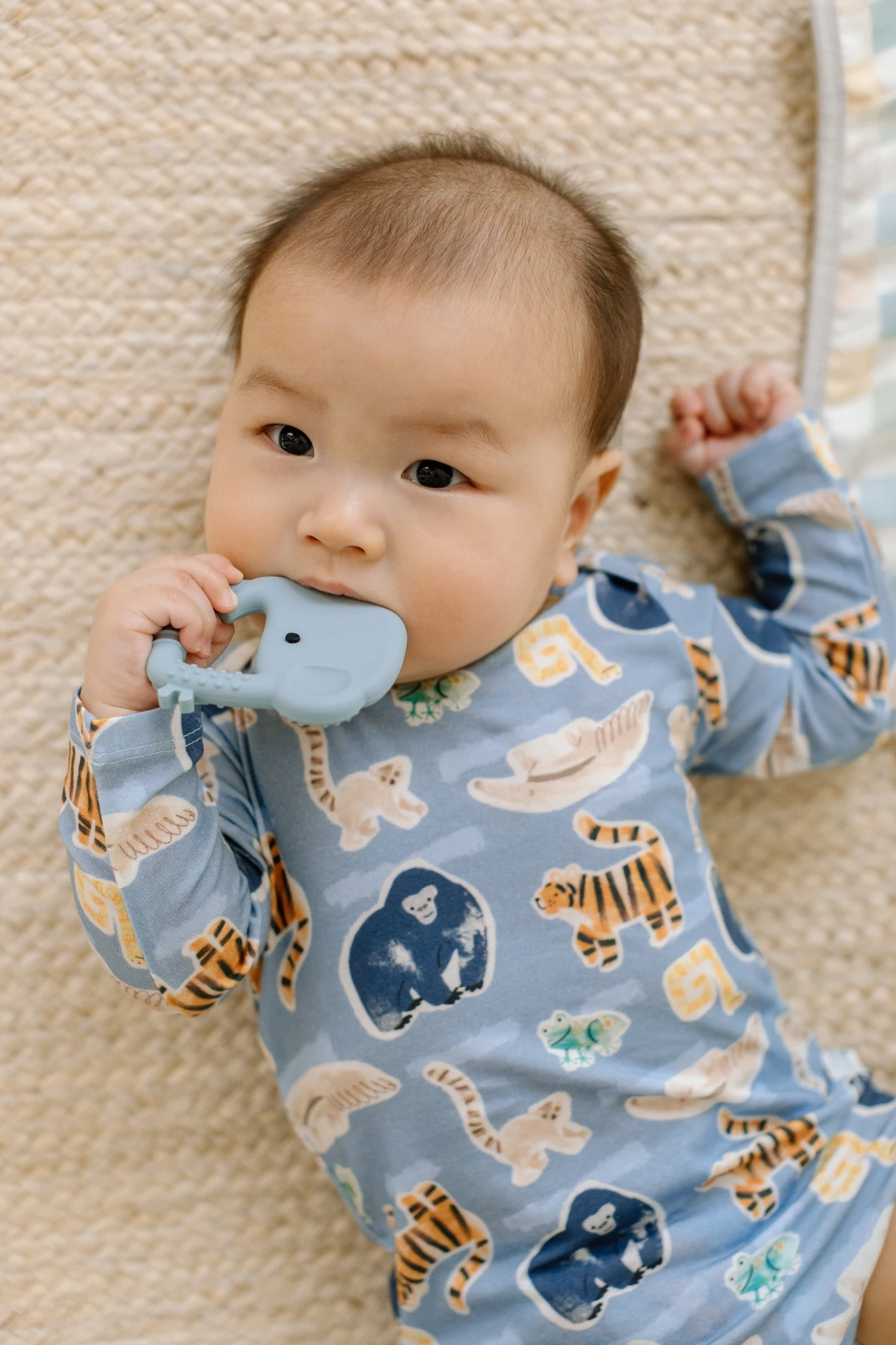 Long Sleeve Bodysuit - Jungle Friends 1 Long Sleeve Bodysuit - Jungle Friends