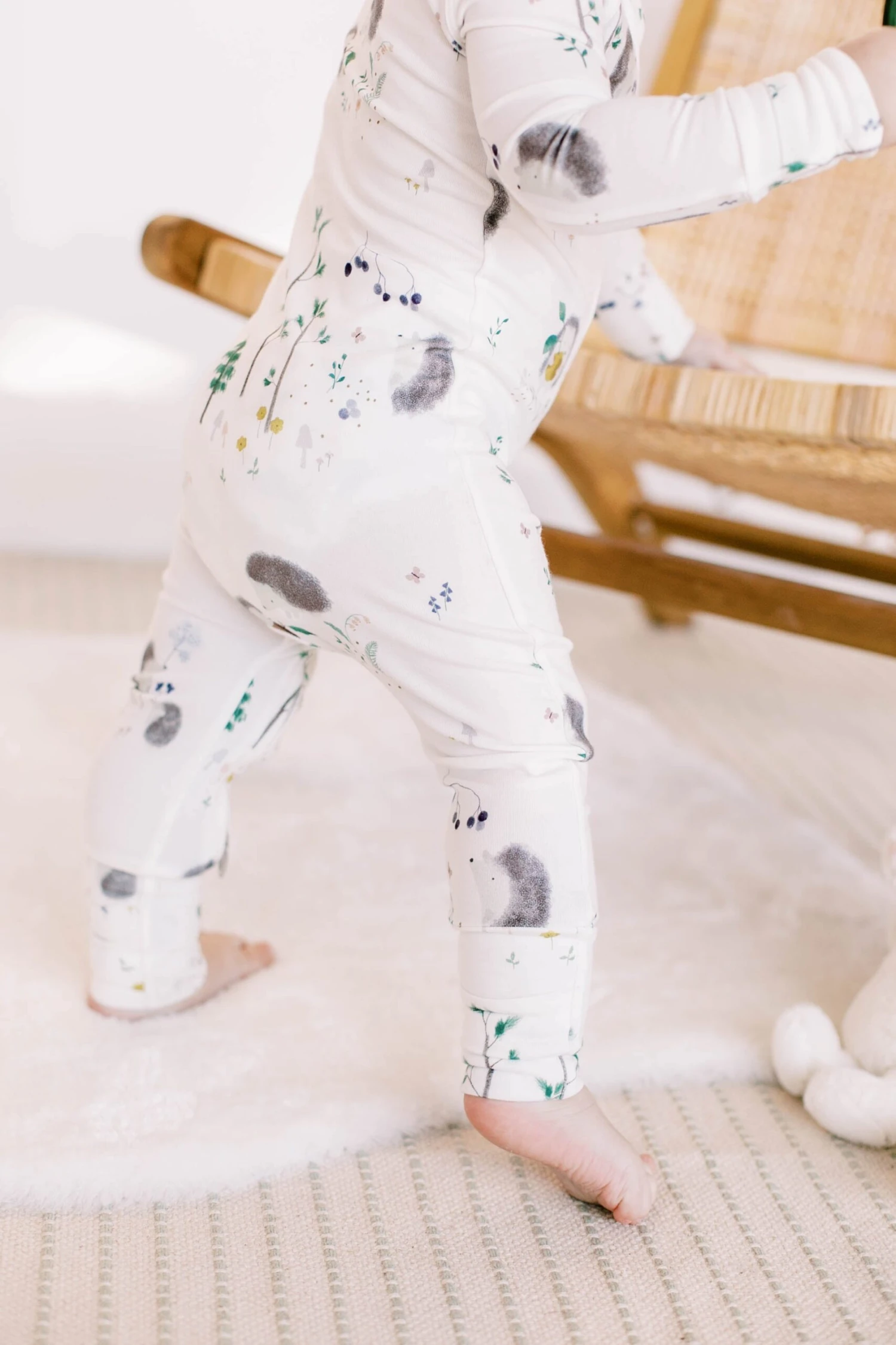 Sleeper - Hedgehogs 1 Sleeper - Hedgehogs