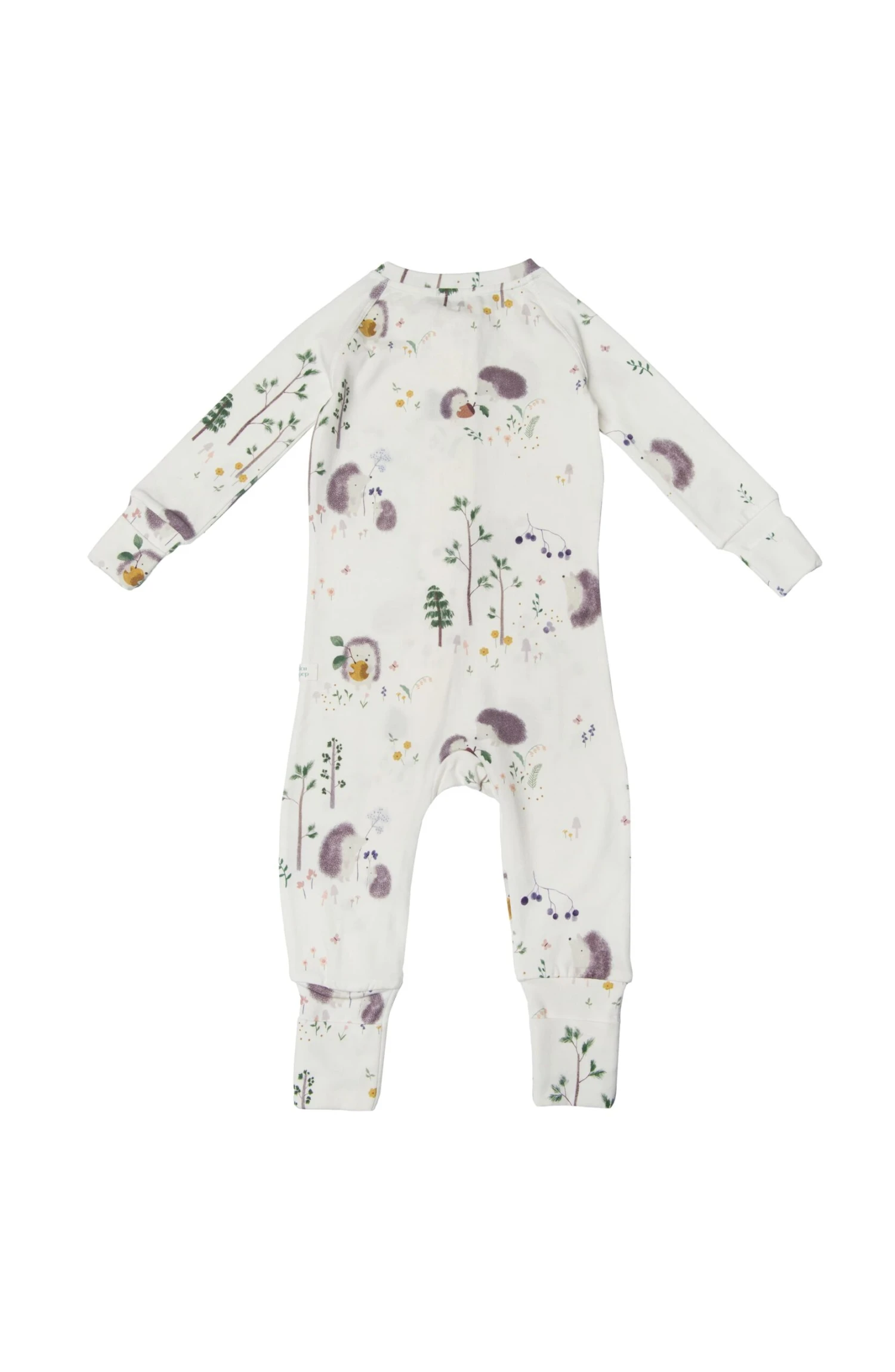 Sleeper - Hedgehogs 3 Sleeper - Hedgehogs - Image 3